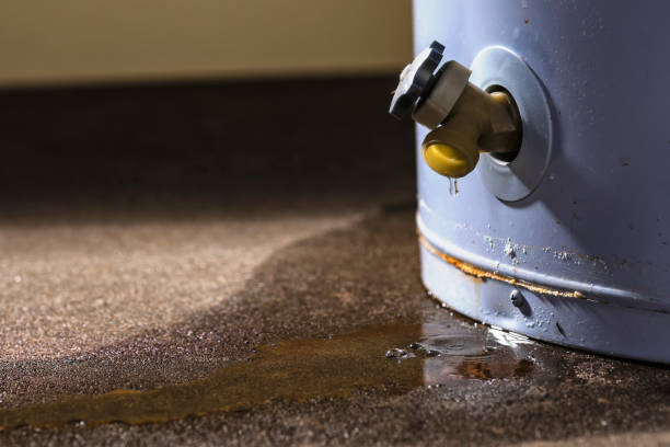 Best Basement water damage restoration  in Westlake Village, CA