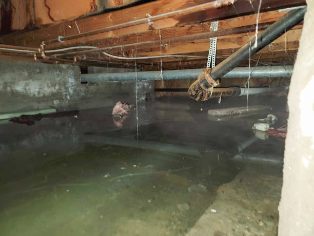 Water damage restoration experts in CA