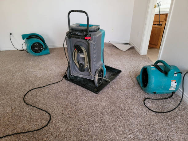 Best Flooded house restoration  in Westlake Village, CA