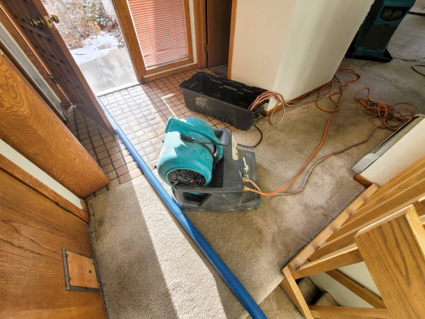 Best Flood restoration services  in Westlake Village, CA