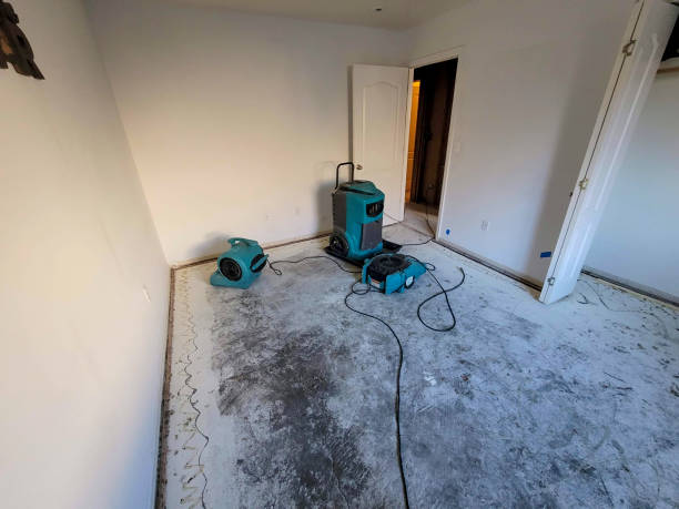 Best Commercial water damage restoration  in Westlake Village, CA
