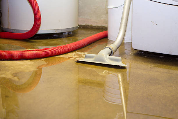 Best Water damage restoration near me  in Westlake Village, CA