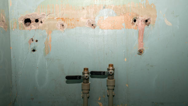 Best Flood damage cleanup  in Westlake Village, CA