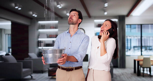 Best Water damage mitigation services  in Westlake Village, CA