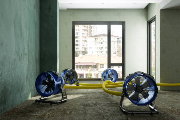 Best Mold removal after water damage  in Westlake Village, CA